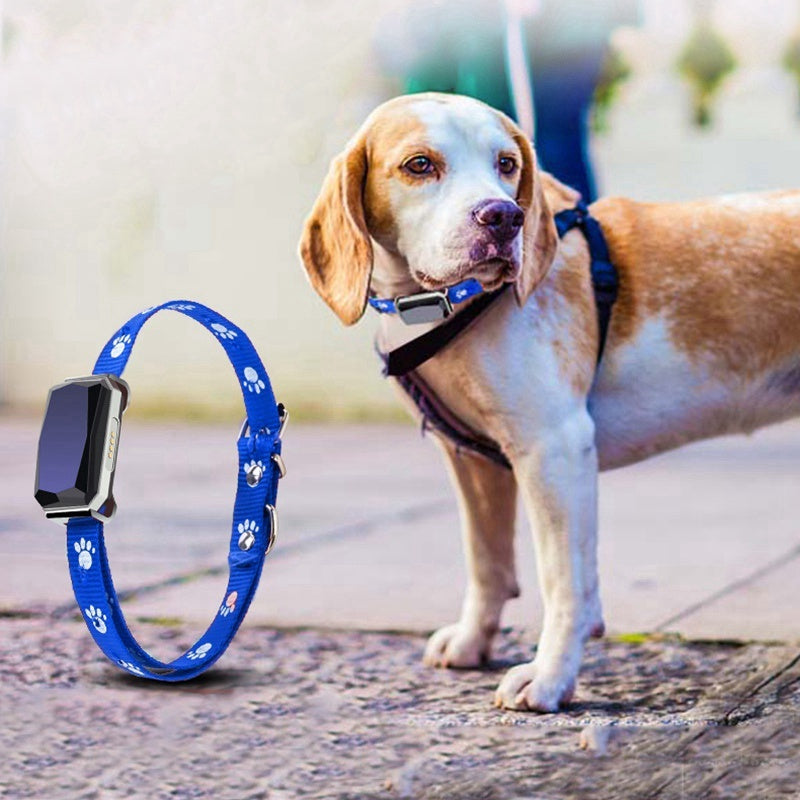 GPS Pet Positioning Collar – Real-Time Tracker for Dogs & Cats
